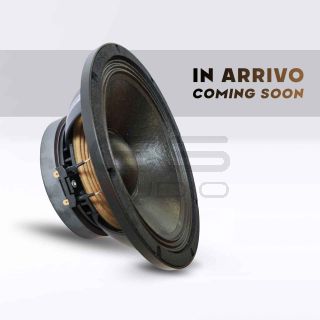 GS Audio PRO 10F2.5-1000W | Woofer PA 10"/25cm - 8 Ohm