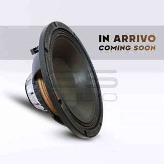 GS Audio PRO 10N2.5-1000W | Woofer PA 10"/25cm - 8 Ohm