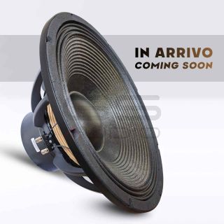 GS Audio PRO 21N6-5000SW | Woofer PA 21"/54cm - 8 Ohm