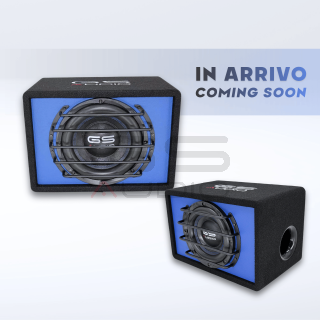 ARRIVAL 2026 | Active Amplified Subwoofer Speaker - 10"/250mm 400WRMS - 800W MAX