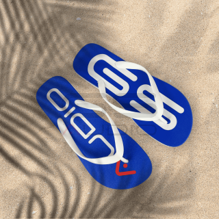GS Audio Flip Flops